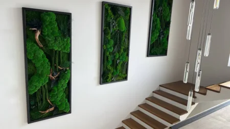 3er Moosbilder Set: Kugelmoos Dschungel-Kaskade