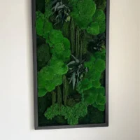 Moosbild „Kugelmoos Dschungel-Kaskade“ – Pflanzen-Edition