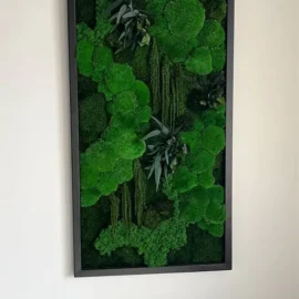 Moosbild „Kugelmoos Dschungel-Kaskade“ – Pflanzen-Edition