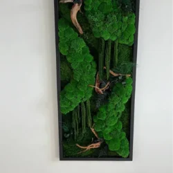 Moosbild „Kugelmoos Dschungel-Kaskade“ – Treibholz-Edition