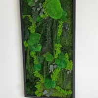 Moosbild „Dschungel-Kaskade“ – Pflanzen-Edition