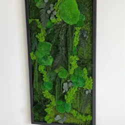 Moosbild „Dschungel-Kaskade“ – Pflanzen-Edition