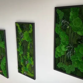 3er Moosbilder Set: Kugelmoos Dschungel-Kaskade