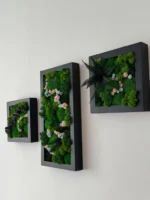 Bilder Set: Florales Moos-Trio mit Rahmen