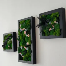 Bilder Set: Florales Moos-Trio mit Rahmen