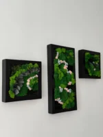 Bilder Set: Florales Moos-Trio mit Rahmen