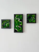 Bilder Set: Florales Moos-Trio mit Rahmen