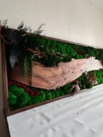 Moosbild mit Holz – Walnuss Waldlandschaft