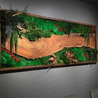 Moosbild mit Holz – Walnuss Waldlandschaft