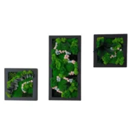 Bilder Set: Florales Moos-Trio mit Rahmen