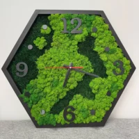 Hexagon Moos Wanduhr Natur-Mix