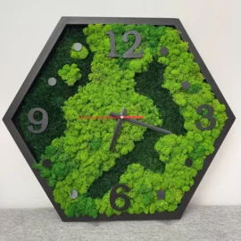 Hexagon Moos Wanduhr Natur-Mix