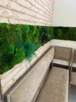 Wand mit Pflanzenpaneelen (Pflanzenwand) von Ekomoss