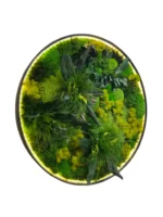 Rundes LED-Moosbild "Dschungel-Aura"