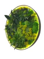 Rundes LED-Moosbild "Dschungel-Aura"