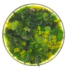 Rundes LED-Moosbild "Dschungel-Aura"