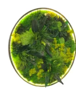 Rundes LED-Moosbild "Dschungel-Aura"