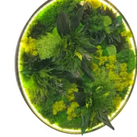 Rundes LED-Moosbild "Dschungel-Aura"