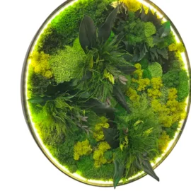 Rundes LED-Moosbild "Dschungel-Aura"