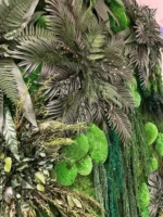 Wand mit Pflanzenpaneelen (Pflanzenwand) von Ekomoss