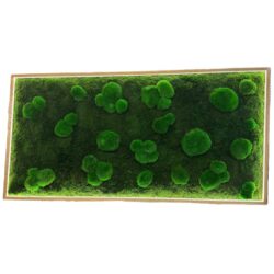 Moosbild LED – Mix aus Kugelmoos & Flachmoos