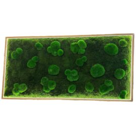 Moosbild LED – Mix aus Kugelmoos & Flachmoos