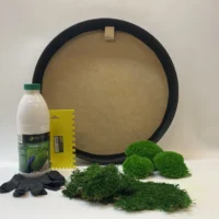 Runde Moosbild selber machen Set – Moos-Duo