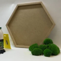 DIY Moosbild Set Hexagon – Kugelmoos