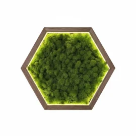 Hexagon LED Wandbild aus Islandmoos