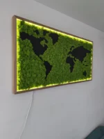 Exklusive Weltkarte aus Islandmoos mit Holzkontinenten & LED-Rahmen