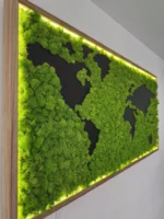 Exklusive Weltkarte aus Islandmoos mit Holzkontinenten & LED-Rahmen