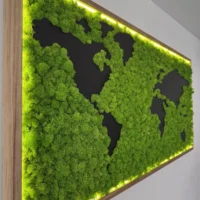 Exklusive Weltkarte aus Islandmoos mit Holzkontinenten & LED-Rahmen