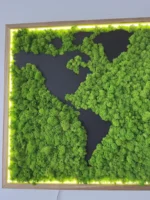 Exklusive Weltkarte aus Islandmoos mit Holzkontinenten & LED-Rahmen