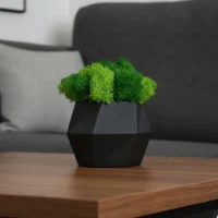 Deko mit Vase "Hexagon" – Handgefertigte Vase mit Islandmoos