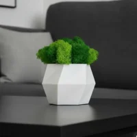 Deko mit Vase "Hexagon" – Handgefertigte Vase mit Islandmoos