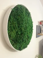 Rundes Wandbild von Ekomoss aus leuchtend grünem, konserviertem Farnmoos in einem schlichten weißen Rahmen vor einem neutralen Hintergrund.
