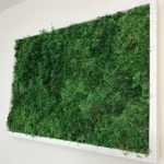 Rechteckiges Moosbild von Ekomoss aus dichtem Farnmoos in einem hochwertigen weißen Massivholzrahmen.