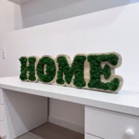 Holzschild mit Logo und Moos – Massivholzplatte nach Maß