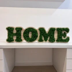 Holzschild mit Logo und Moos – Massivholzplatte nach Maß
