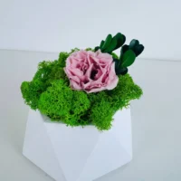 Vase für eine Rose – Dekovase mit Infinity Rose & Moos