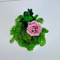 Vase für eine Rose – Dekovase mit Infinity Rose & Moos