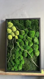 Moosbilder 3er Set Natur-Trilogie mit Kugelmoos und Provencemoos