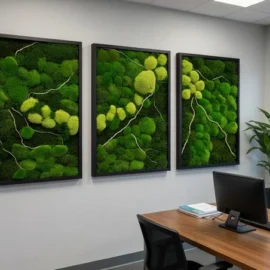 Moosbilder 3er Set Natur-Trilogie mit Kugelmoos und Provencemoos