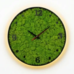 Wanduhr mit Moos und LED — Islandmoos-Design