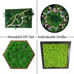 Moosbild DIY Set – Individuelle Größe