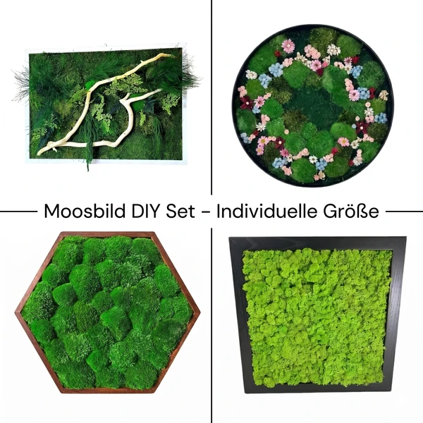 Moosbild Set: DIY – Individuelle Größe