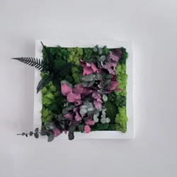 Quadratisches Pflanzenbild mit Moos, Eukalyptusblättern und Farn in einem Rahmen an der Wand.