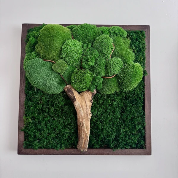 Wandbild Moosbaum mit Kugelmoos und Flachmoos