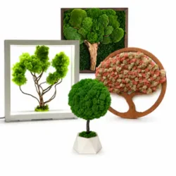 Moss Tree Category_result Moosbäume: drei dekorative Bäume aus Moos – im Pflanzgefäß, als rundes Wandbild und im beleuchteten Holzrahmen