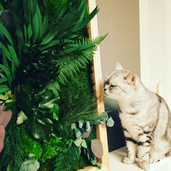 Nahaufnahme einer Moosbild-Komposition mit natürlichen Materialien: Holzrahmen, verschiedene Pflanzen und eine stilvolle Innenraumdekoration.